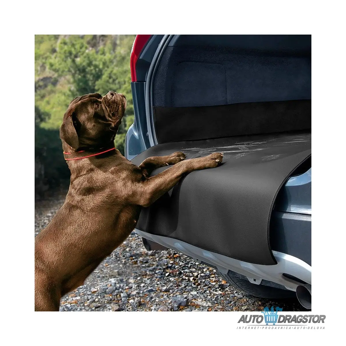 ZASTITA ZA ZADNJI BRANIK VELICINA M (DIMENZIJE:DUZINA 110CM/SIRINA 100CM/VISINA ZADNJE STRANE 37CM/VISINA BOCNIH STRANICA 18CM) 