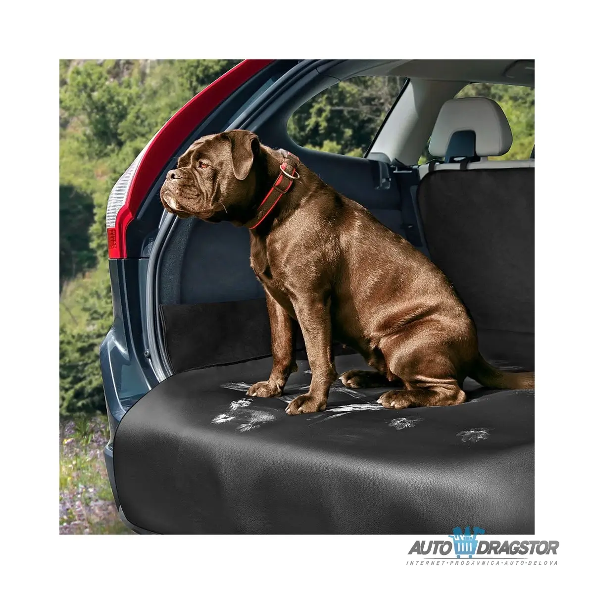 ZASTITA ZA ZADNJI BRANIK VELICINA XXL (DIMENZIJE:DUZINA 150CM/SIRINA 115CM/VISINA ZADNJE STRANE 50CM/VISINA BOCNIH STRANICA 18CM) 