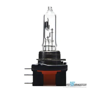 SIJALICA 12V H11 55W PGJ19-2 +30% VIŠE SVETLA 