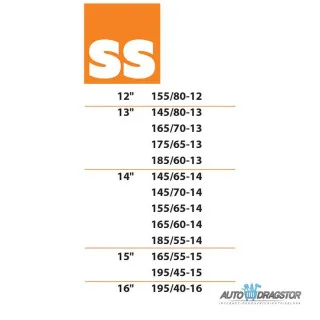 ČARAPA ZA SNEG EASY & SAFE REAL 420G SS PAR 