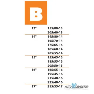 ČARAPA ZA SNEG EASY & SAFE REAL 420G B PAR 