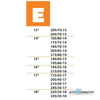 ČARAPA ZA SNEG EASY & SAFE REAL 420G E PAR 