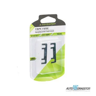 TRAKASTI OSIGURAČ 41x11MM 100A 2KOM 