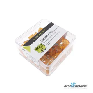 OSIGURAČI 5A 100KOM PLASTIČNA KUTIJA 