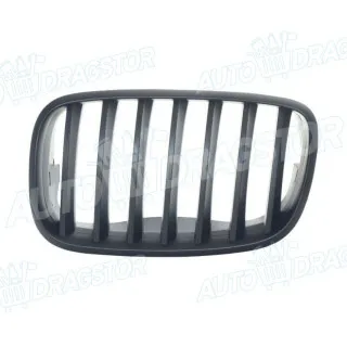 Maska BMW X5 (E70), 06-13; 