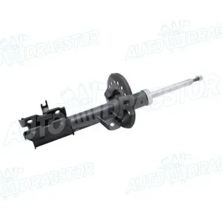 Gasni amortizer NISSAN QASHQAI (J10), 07-14; 