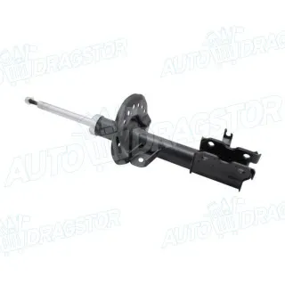 Gasni amortizer NISSAN QASHQAI (J10), 07-14; 