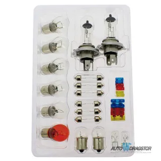 SIJALICA 12V GARNITURA H4 30KOM 