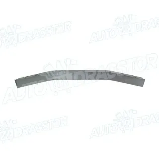 Šina branika NISSAN 350Z (Z33), 03-09; 