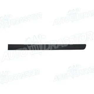 Lajsna na vratima HYUNDAI GETZ (TB), 02-11; 