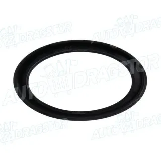 Okvir maglenke MERCEDES E-KLASSE (W211), 02-09; 