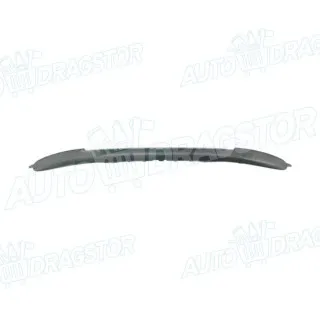 Lajsna branika PEUGEOT 206/206+ (2_), 98-12; 