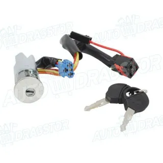 Set/komplet za zaključavanje volana PEUGEOT 206/206+ (2_), 98-12; 