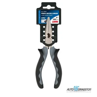 KLJEŠTA ŠPICASTA 6