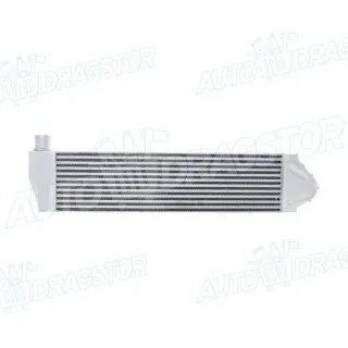 Interkuler RENAULT MEGANE II (M), 02-08; SCENIC II (JM), 03-09; 