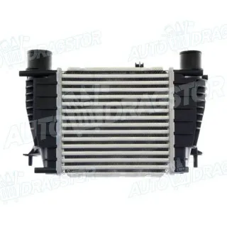 Interkuler NISSAN, RENAULT 