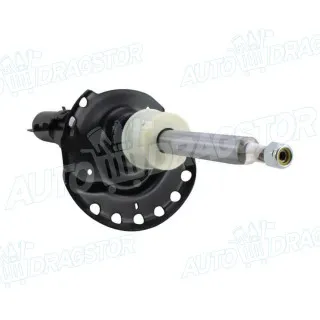 Amortizer LAND ROVER FREELANDER (FA), 06-15; 