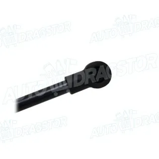 Amortizer haube LEXUS IS (XE1), 98-05; IS (XE2), 05-13; 