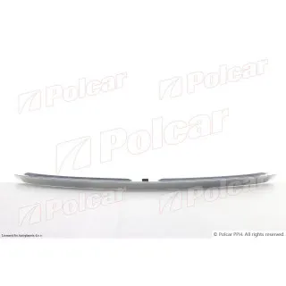 Lajsna haube TOYOTA RAV4 (XA30), 06-13; 