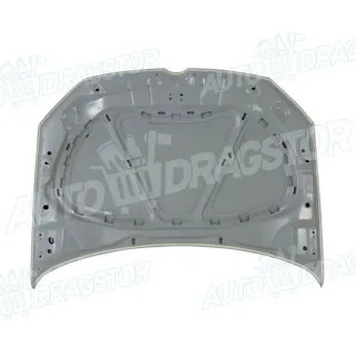 Hauba VOLKSWAGEN POLO (6R), 09-17; 