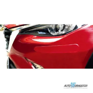 ZAŠTITA BRANIKA 2KOM PROVIDNA 