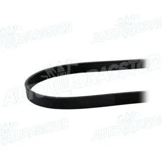 PK kaiš FIAT, HONDA, MAZDA, PEUGEOT, ROVER/MG 