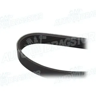 PK kaiš FIAT, FORD, HYUNDAI, KIA, LEXUS 