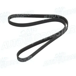 PK kaiš FIAT, FORD, HYUNDAI, KIA, LEXUS 