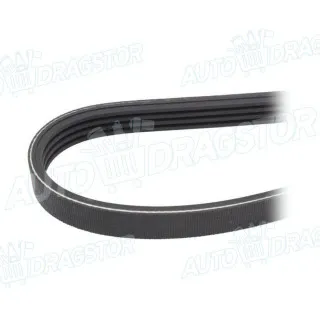 PK kaiš FIAT, KIA, LANCIA, MAZDA 