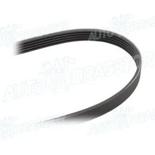 PK kaiš AUDI, BMW, FIAT, HONDA, KIA, MAZDA, MITSUBISHI, NISSAN, PROTON, ROVER/MG 