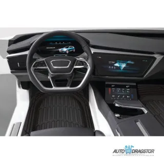 PATOSNICE GUMENE SA KADICAMA 