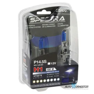 SIJALICA 12V H1+T10 100W 