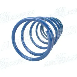 Čelicna opruga FORD FOCUS (DAW/DBW/DNW/DFW), 98-07; 