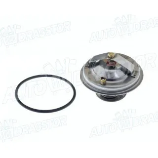 Termostat AUDI, SKODA, VOLKSWAGEN 