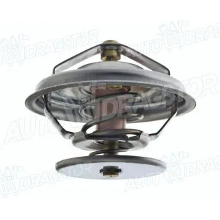 Termostat DAEWOO, JAGUAR, MERCEDES, SSANGYONG 