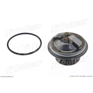 Termostat DAEWOO, JAGUAR, MERCEDES, SSANGYONG 