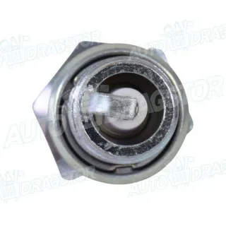 Svećice ALFA ROMEO, AUDI, AUSTIN, BMW, CITROËN, FIAT, FORD, FSO, ISUZU, LADA/AVTOWAZ, LANCIA, LAND ROVER, MERCEDES, MITSUBISHI, NISSAN, PEUGEOT, RENAULT, SAAB 