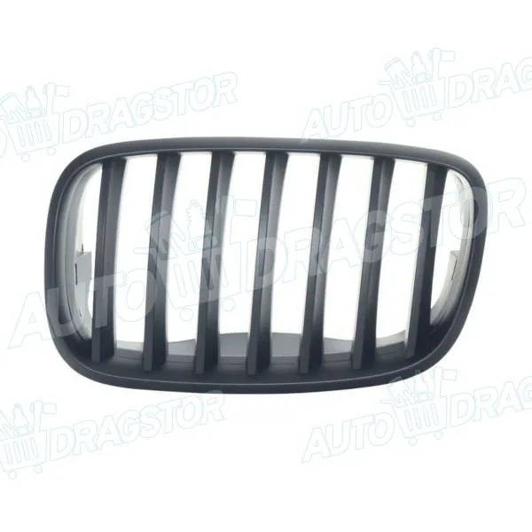 Maska BMW X5 (E70), 06-13; 
