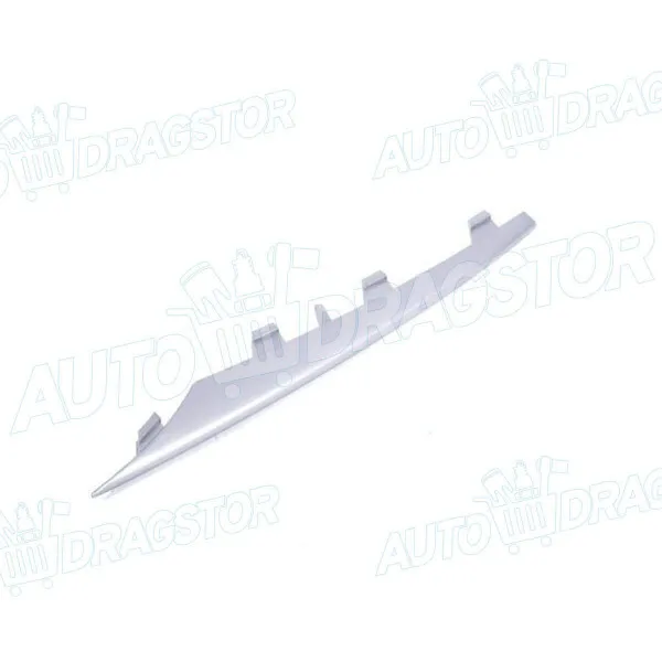 Lajsna branika BMW X5 (E70), 06-13; 