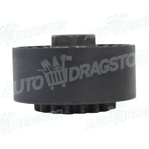 Španer (zatezač kaiša) DACIA, RENAULT 