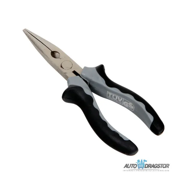 KLJEŠTA ŠPICASTA 6