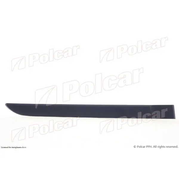Lajsna na vratima RENAULT MEGANE II (M), 02-08; 