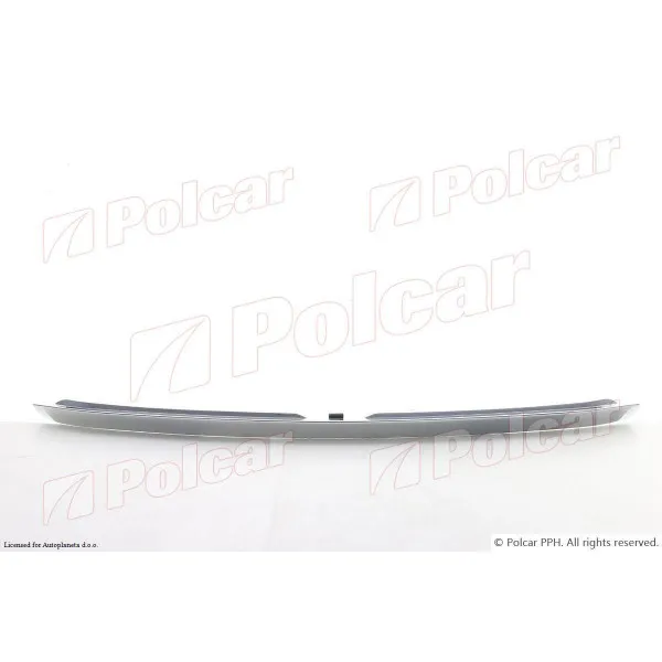 Lajsna haube TOYOTA RAV4 (XA30), 06-13; 