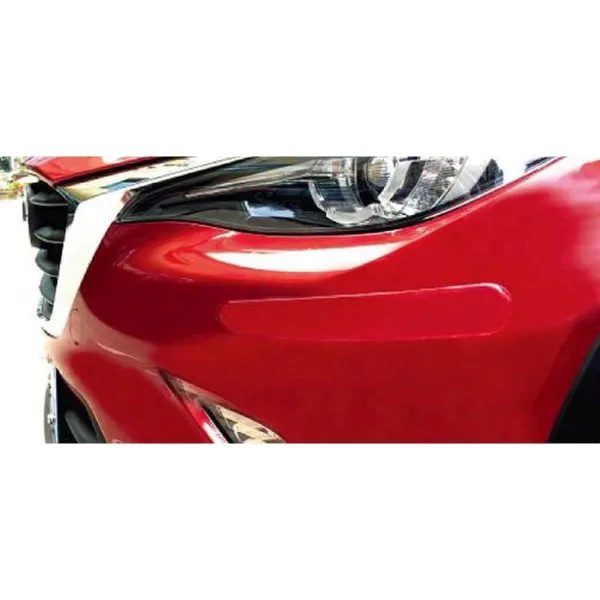 ZAŠTITA BRANIKA 2KOM PROVIDNA 