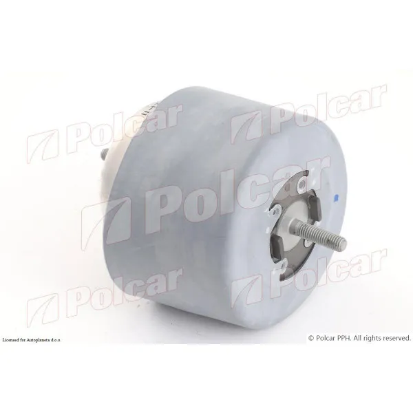 Nosač motora AUDI A4 (B6/8E/8H), 00-04; 