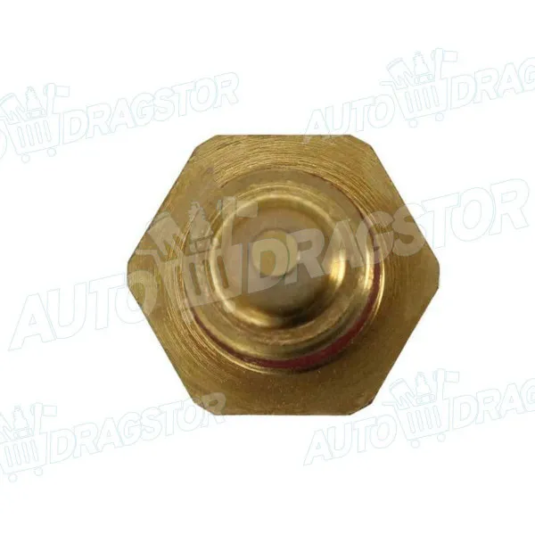 Merač temperature rashladne tečnosti FORD, MAZDA 