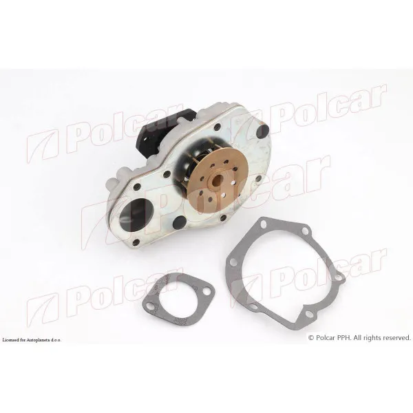 Pumpa za vodu RENAULT SAFRANE (B54), 92-00; 