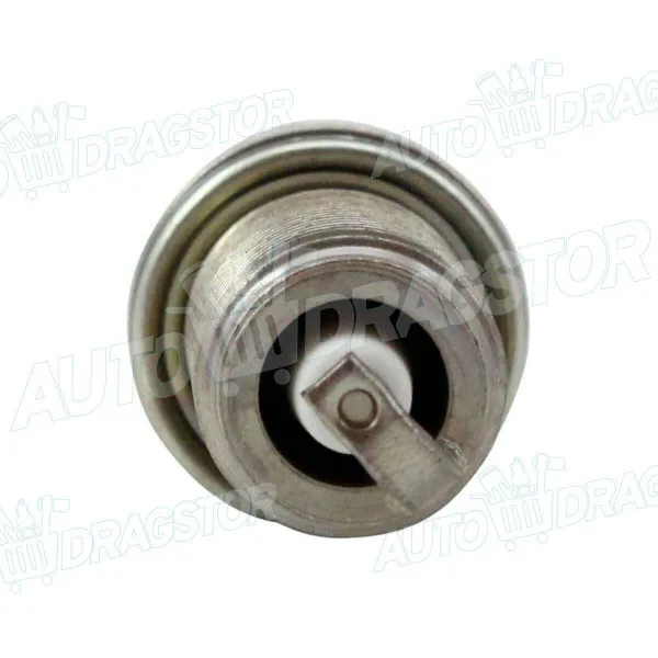 Svećice CITROËN, FIAT, LANCIA, MITSUBISHI, NISSAN, PEUGEOT, SMART, TOYOTA, VOLVO 