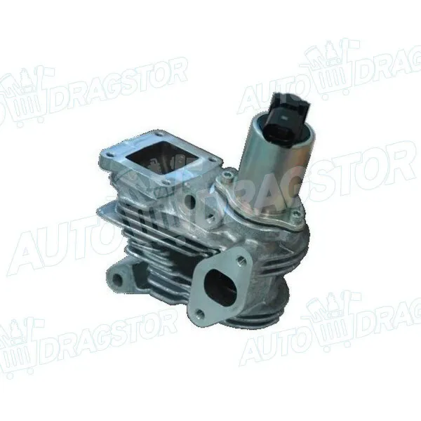 EGR ventil RENAULT LAGUNA II (G), 01-07; MEGANE II (M), 02-08; SCENIC II (JM), 03-09; 
