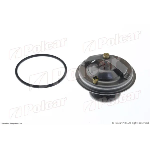 Termostat FORD, MERCEDES, SEAT, VOLKSWAGEN 